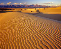 Mesquite Flat Sand dunes in Death Valley National Park in California by Danita Delimont