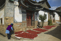 Drying Chili Peppers von Danita Delimont