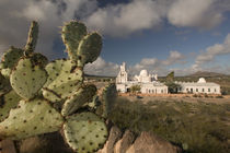 Tucson: Mission San Xavier del Bac Mission with Cactus von Danita Delimont