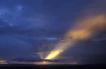 Setting sun sends shaft of light through storm clouds above escarpment von Danita Delimont
