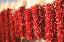 Chili Pepper Ristras / Wreaths by Danita Delimont