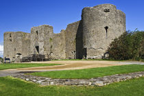 View of ruins of Roscommon Castle von Danita Delimont