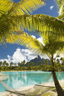 Regis Resort in Bora Bora by Danita Delimont