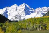 Maroon Bells with autumn aspen forest von Danita Delimont