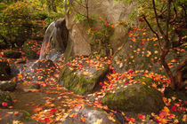 Waterfall with autumn color von Danita Delimont