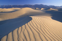 Mesquite Flats sand dunes with wind ripples at sunrise von Danita Delimont