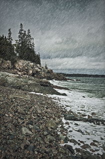 Coastal rain storm, Maine, USA