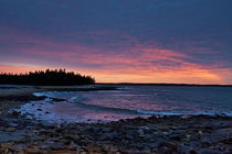 Acadia Sunrise von John Greim