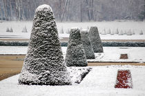 Frosted yews, Fontainebleau Castle, France von Katia Boitsova