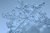 Blaue Schneeflocke von Intensivelight Panorama-Edition