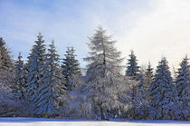 Natur im Winter by Wolfgang Dufner