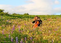 The Sound of Nature by Michele Cornelius