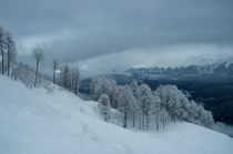 after snow storm by Vsevolod  Vlasenko