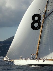 Saint-Tropez Regatta 8 von Lainie Wrightson