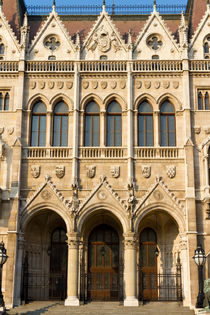 Hungarian Parliament Building von Evren Kalinbacak