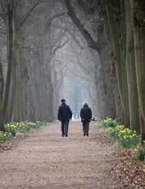 A Peaceful Stroll von Lainie Wrightson