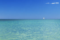 Sailboat on Tranquil Sea by Craig Joiner