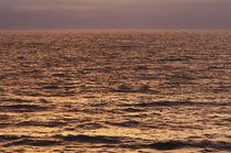 Coastal Light at Sunset von Craig Joiner