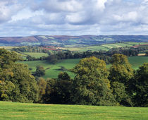 Quantock Hills, Somerset, England von Craig Joiner