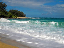 Foamy Surf by Frank Wilson