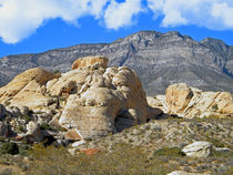 Desert Hikers by Frank Wilson