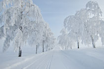 Winter in Norwegen