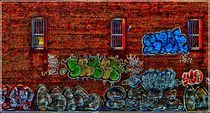 Graffiti. Signs on Walls. Bronx. NY by Maks Erlikh