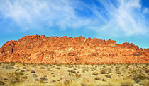 Desert Valley Of Fire by Frank Wilson