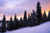 Schneeleuchten von moqui