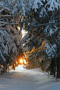 Weg zum Licht by Wolfgang Dufner