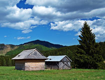 Sheepfold von Tomas Gregor