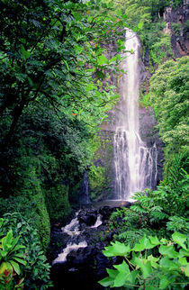 Wailua Falls Maui Hawaii by Kevin W.  Smith