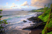 Hana Coast Maui Hawaii von Kevin W.  Smith