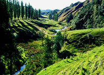 Forgotten World Highway North Island New Zealand by Kevin W.  Smith