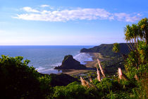 Piha Beach North Island New Zealand by Kevin W.  Smith