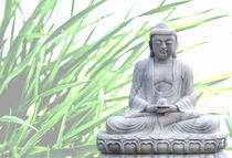 buddha (gras) von hannes cmarits