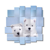 Westies blue mesh by Waldek Dabrowski