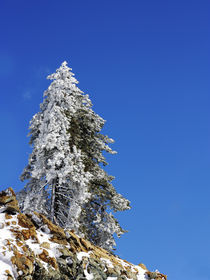 Snowy stree and sky von George Panayiotou