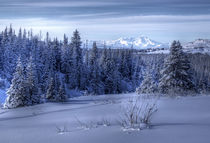 Alaskan landscape in winter von Michele Cornelius