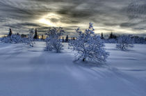 Moody winter scene by Michele Cornelius