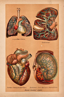 Cardiovascular von Mark Strozier
