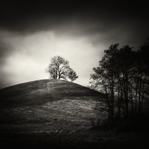 Tobias hill by Jaromir Hron