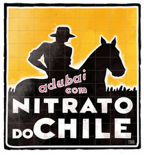 Nitrato do Chile von Filipe Goulão