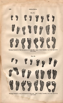 foot prints von Mark Strozier