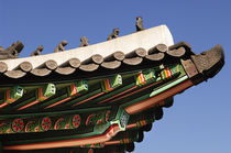 Zodiacs on a roof. by Tom Hanslien