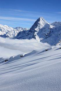 Eiger mit Pulverschnee by Bettina Schnittert