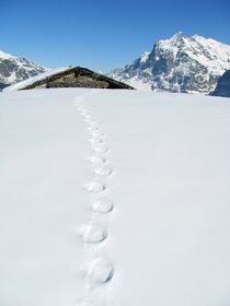 Footprints von Bettina Schnittert