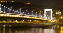 Elisabeth Bridge by Evren Kalinbacak