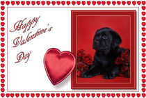 Labrador Valentine card 2 von Waldek Dabrowski