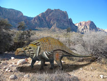 Edmontonia in Desert by Frank Wilson by Frank Wilson